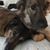 Elaine M. Cyr's profile image