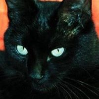 Aimee Burk's profile image