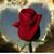 Francisca Perez's profile image