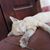Uyen Phuong's profile image