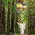 Jene Kinzer Horne's profile image