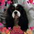 Bev Hofschulte's profile image