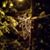 Lisa Martino Welch's profile image