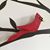 Kimberly Broecker-Strnad's profile image