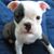 Sarah Ann Baicy Scott's profile image