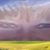 Tammy Delzer-Swartz's profile image