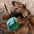 Jessica Seder Zanton's profile image