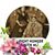 Michele Wyant's profile image