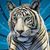 Veanna Wickson's profile image