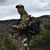 Tom Parrott's profile image