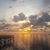 Bernadette Haney's profile image