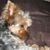 Rafael Duran's profile image