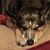 Deb Siraco Cryan's profile image