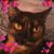 Norma Parrish's profile image