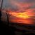 Jackie Tagg Jakielaszek's profile image