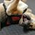 Emily A. Kloth's profile image