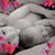 Kay Campbell's profile image