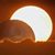 Jason Firestone's profile image