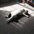 Marlyn Heglund's profile image