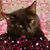 Charlene Helton's profile image