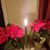 Debbie Dinan Raymond's profile image