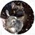 LeAnna Burling's profile image