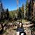 Michelle Lera's profile image