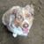 Corey Biggers's profile image