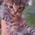 Julie Mitscher-Settles's profile image