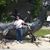 Larry Parchem's profile image