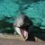 Jennifer Delmonico's profile image