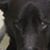 Renee Weitzner's profile image
