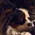 Brenda Cooper's profile image