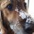 Cheryl Titcher's profile image