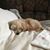 Tammie Lee's profile image