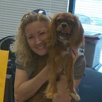 Kim McCarson's profile image