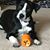 Sandy Milas Richards's profile image
