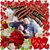 Debra Hooper's profile image