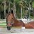 Dianne Gorbach's profile image