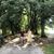 Shannon Goodwin's profile image