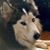 Vic Dee's profile image