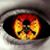 Thomas McGee's profile image