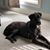 Tammy Manders Southall's profile image