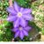 Lynda Ferrell Gill's profile image