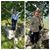 Pasquale Integlia's profile image