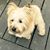 Robin Selesky's profile image