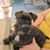 Anna-Marie Zaccardi Grow's profile image