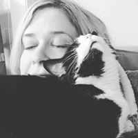 Andrea Kaye's profile image