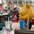 Linda Webb Franklin's profile image