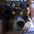 Valerie Mittereder's profile image